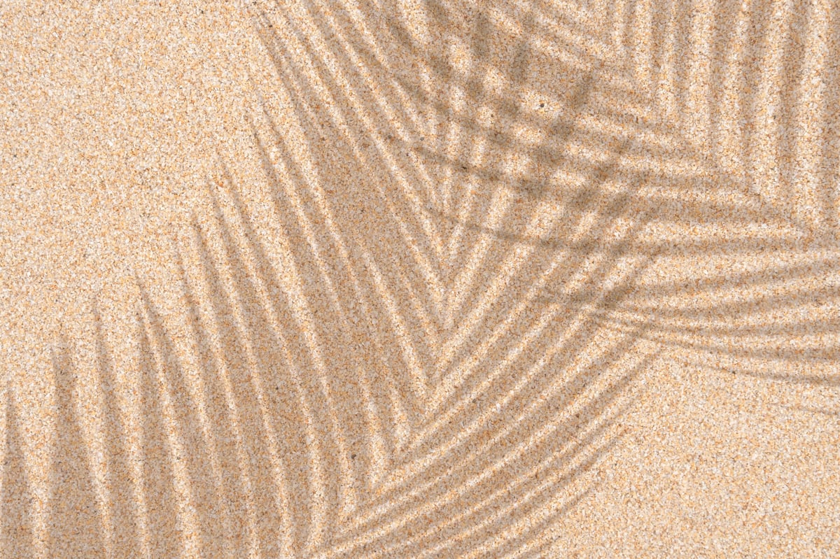 Tropical palm leaf shadow warm sand surface wellness background